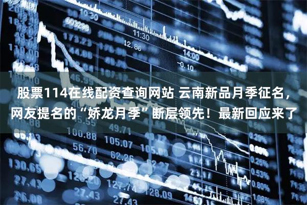 股票114在线配资查询网站 云南新品月季征名，网友提名的“娇龙月季”断层领先！最新回应来了