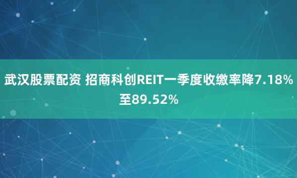 武汉股票配资 招商科创REIT一季度收缴率降7.18%至89.52%