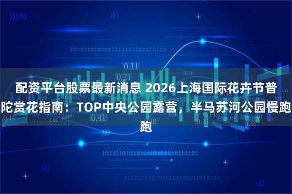 配资平台股票最新消息 2026上海国际花卉节普陀赏花指南：TOP中央公园露营，半马苏河公园慢跑